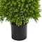 4ft. Potted Eucalyptus Topiary Artificial Tree